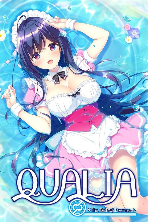 qualia-the-path-to-promise-vn-cover